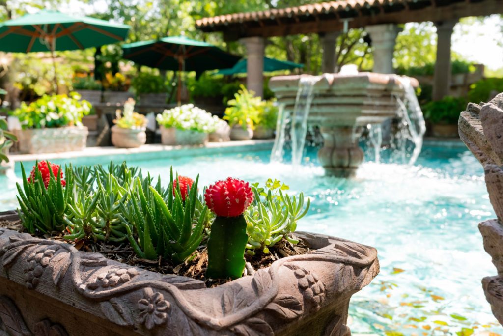 Joe T. Garcia's - This landmark has served generations in Fort Worth since 1935.