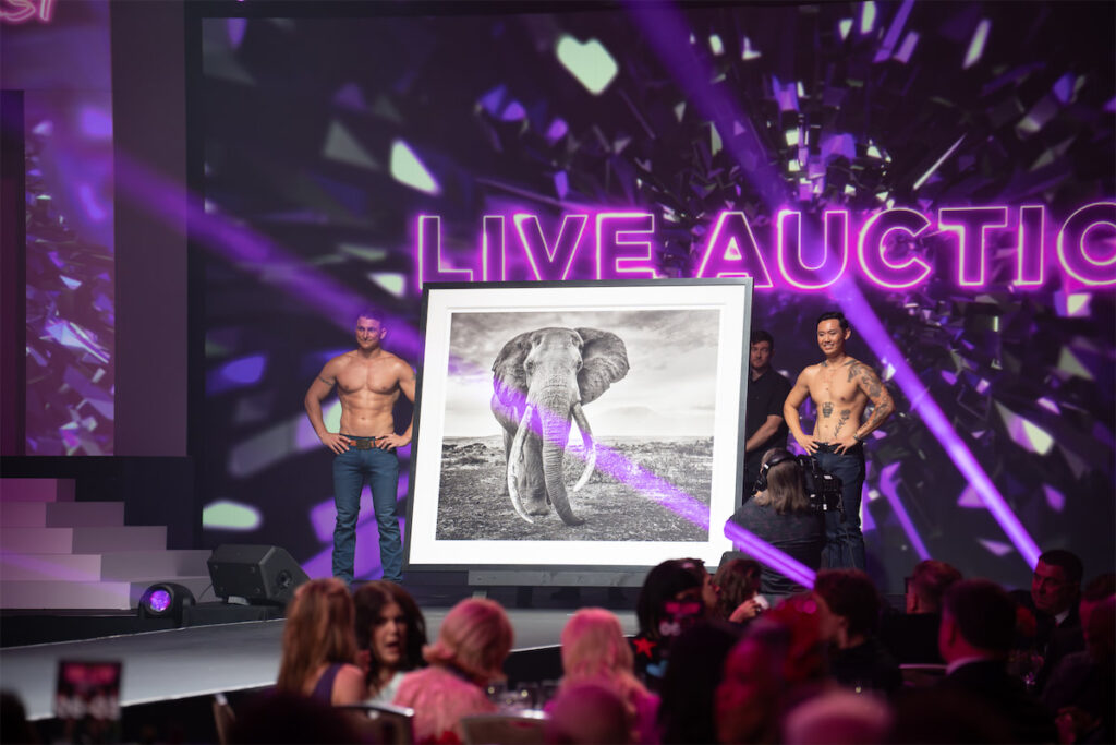 David Yarrow auction item (Photo By Danny Campbell)