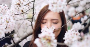 Scenting office towers hines