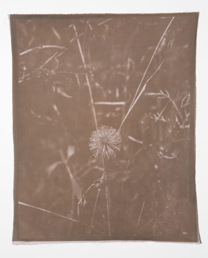 Angela Chen's "Sunshine Mimosa" (Photo by Lorena Molina) 