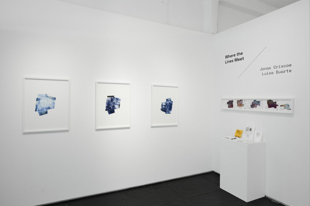 Throughline Collective's "Where the Lines Meet" exhibit (Photo by Jake Eshelman)