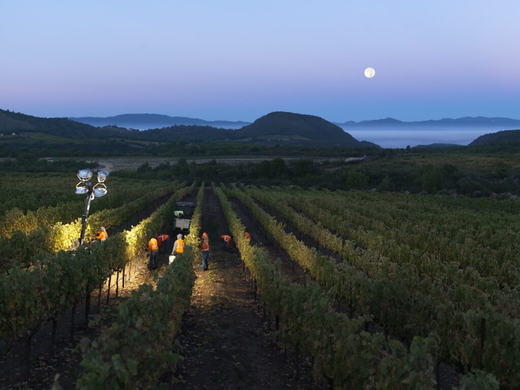 Night is busy at Acumen.