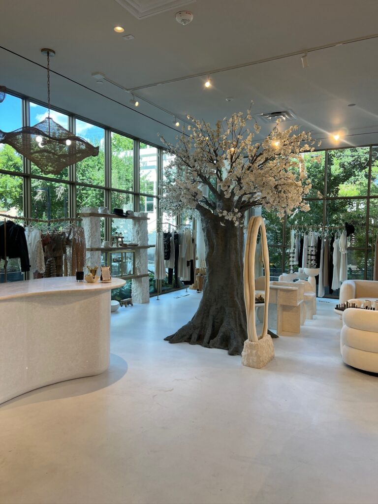 Wyld Blue Dallas Swimwear Store – tree in shop