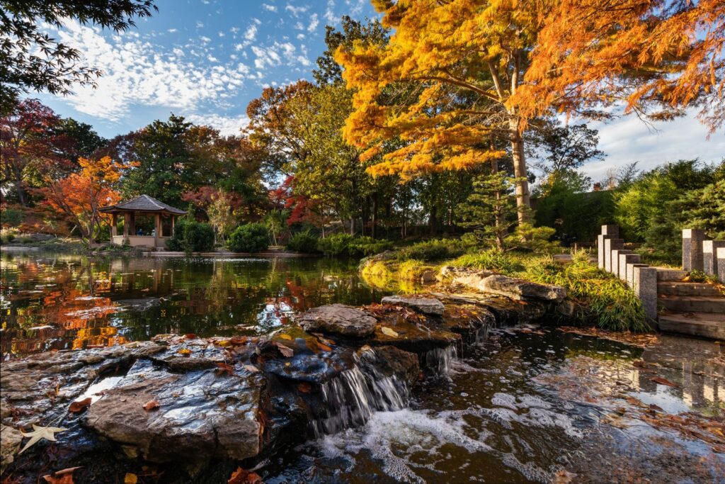  Japanese Gardens are a unique sanctuary tucked inside the gardens - hosting the fall Japanese festival in early November.