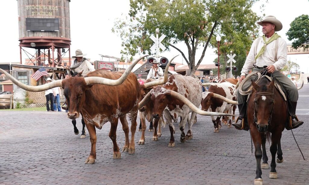 The twice daily spectacle has introduced millions of visitors to town over the past 25 years. (Photo by Timothy Clary)