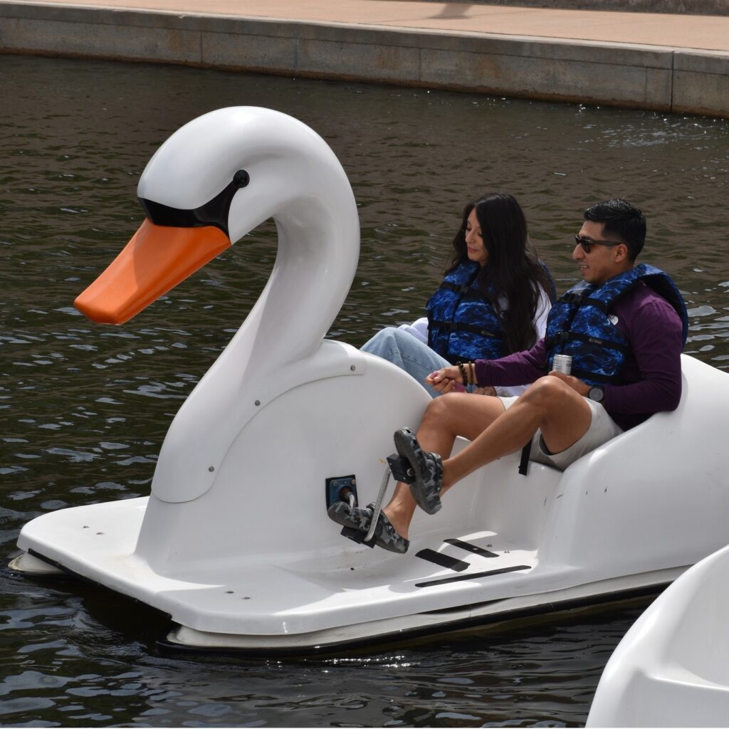 One of the surprising date night options in The Woodlands is taking a romantic swan ride through The Woodlands Waterway.