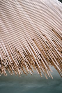 A close-up of Aurélie Hoegy's main medium, cane (Photo by Aurélie Hoegy)