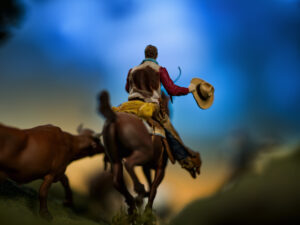 Houston Center for Photography