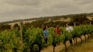 Xanadu’s estate vineyards specialize in chardonnay, sauvignon blanc, and cabernet sauvignon.