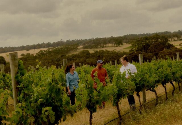 Xanadu's estate vineyards specialize in chardonnay, sauvignon blanc, and cabernet sauvignon.