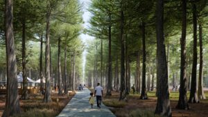 Memorial Park Memorial Groves