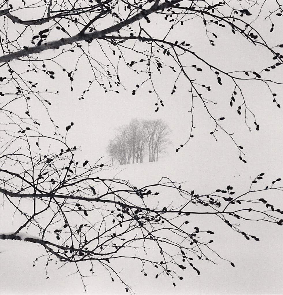 Michael Kenna's "Distant Trees, Sorachi, Hokkaido, Japan," 2023, at PDNB Gallery 