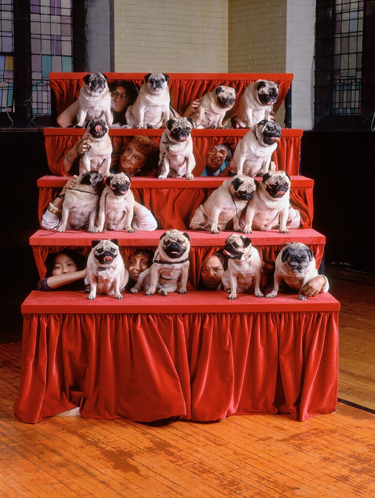 Neal Slavin's "Pugs," 1991, at PDNB Gallery 