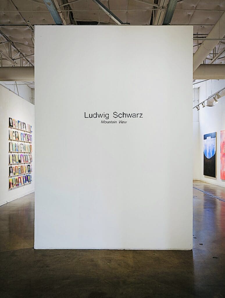 An installation view of the exhibition "Ludwig Schwarz: Mountain View," currently on view through October 4 at Conduit Gallery in Dallas. (Photo by Kevin Todora. Courtesy Conduit Gallery, Dallas)
