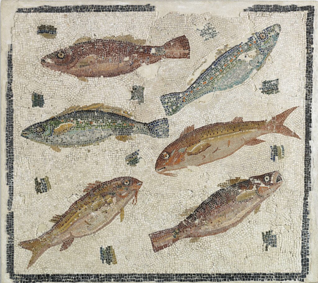 Mosaic Pavement with Fish, House of the Severi, Rome, Italy, 2nd century, mosaic, National Roman Museum, Rome.