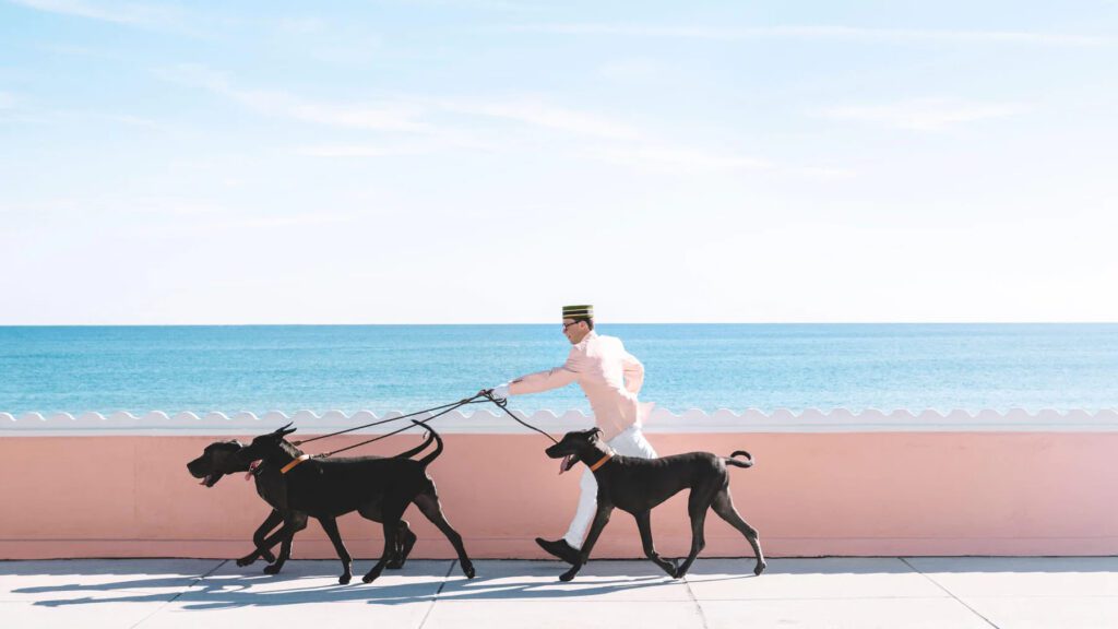 Nick Mele (Photo by Nick Mele )