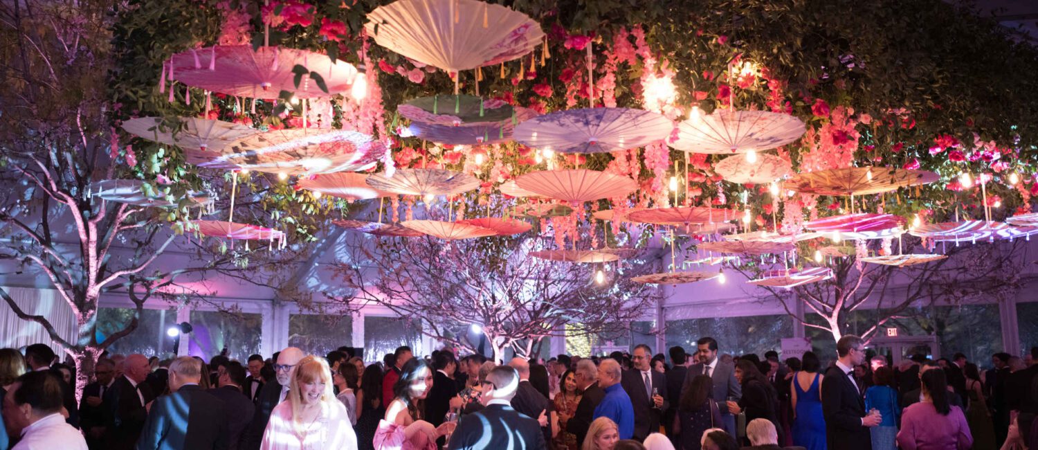 293_TigerBall_DanielOrtizPhoto_030626