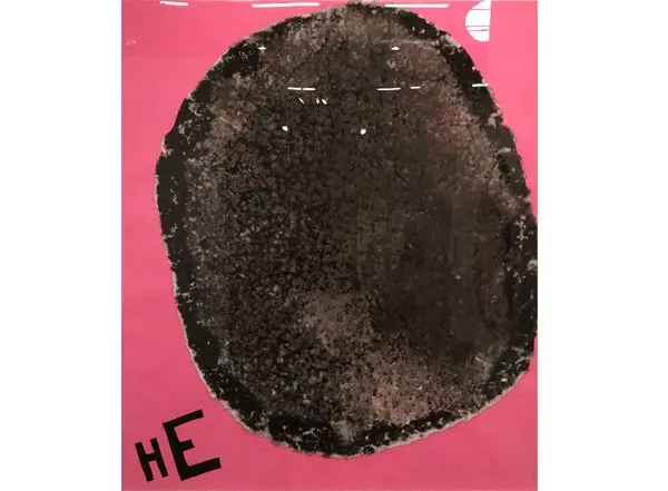 Trenton Doyle Hancock, James Cohan Gallery, New York, The Armory Show 