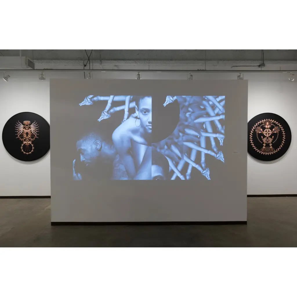 Renee Cox's "Sacred Geometry," 2014, at Zhulong Gallery (Dallas), Dallas Art Fair.
Courtesy the gallery. 
