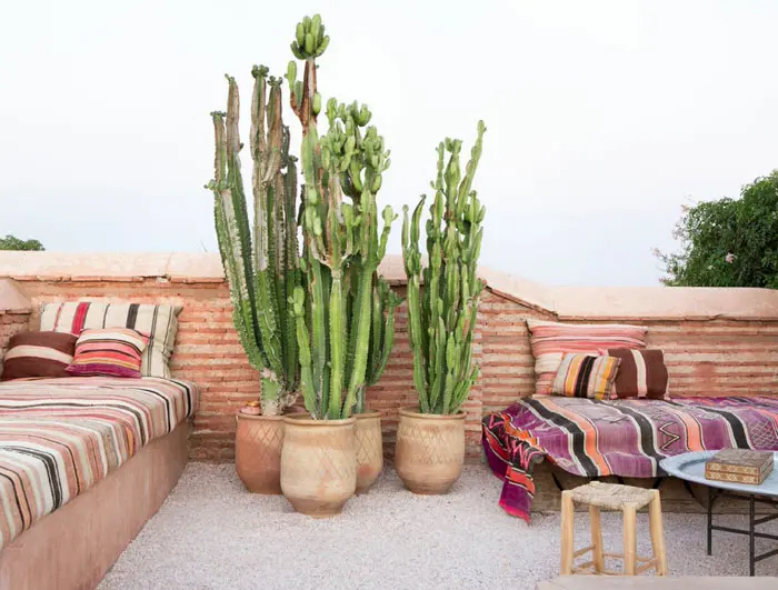 The rooftop at El Fenn