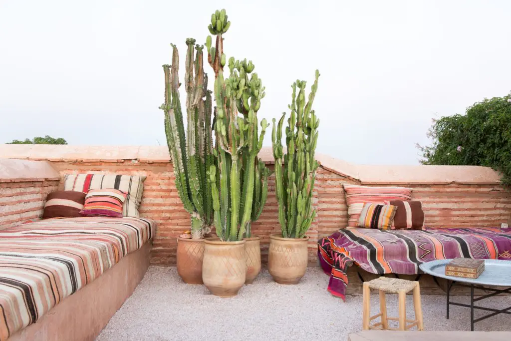 Jet-Set Dispatch:* Morocco With Matt Johns