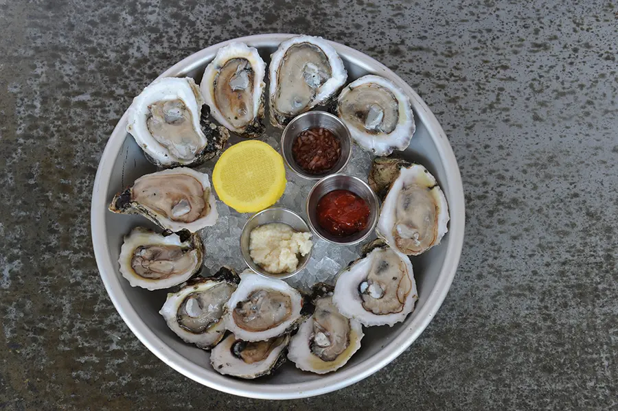 Oysters 
