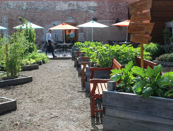Coltivare grows its own herbs, lettuces and seasonal vegetables in a 3,000-square-foot garden on the premises.