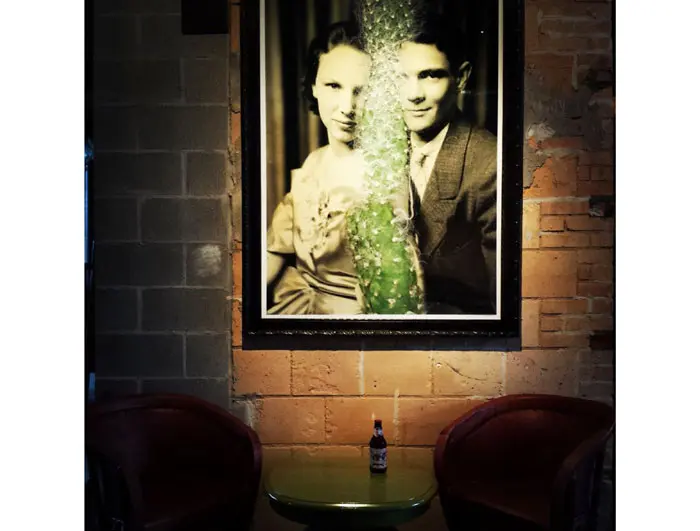 "Cactus Between Us" artwork hanging in La Grange