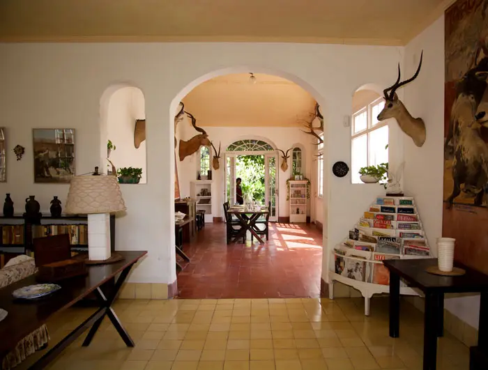 Natural light floods the interior.