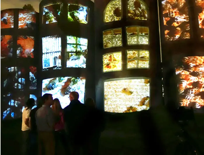 Hunter's previous outdoor video project, held last fall, was also sponsored by Houston Arts Alliance, this time as part of the Eastside celebration, "Transported + Renewed." Silos were employed as screens, while looming honeybees buzzed. Photo courtesy the artist. 