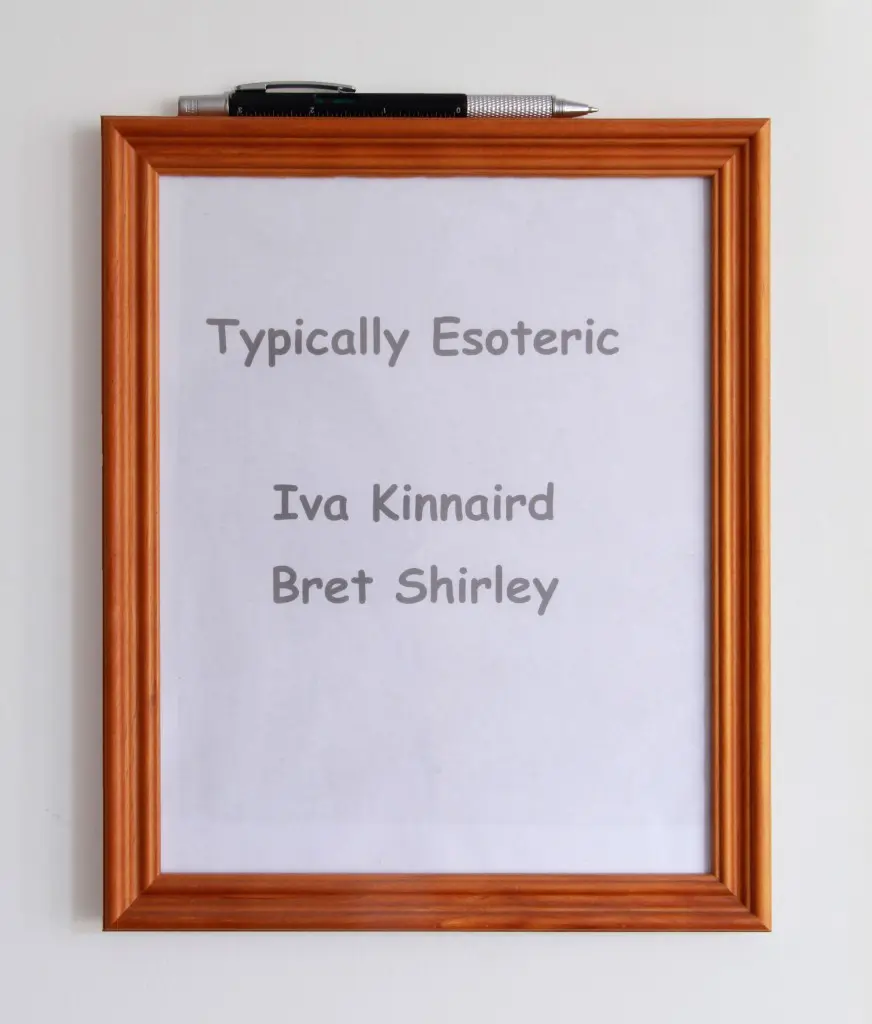 The signage that announces this provocative exhibition, expertly deployed in galleryHomeland's 600 square feet. Photo courtesy Iva Kinnaird.
