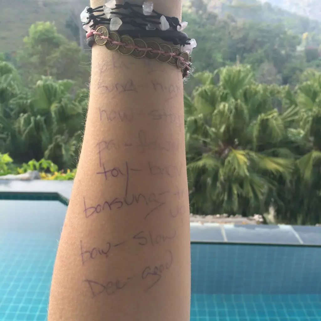 "When you ride a Thai elephant, you have to give Thai commands," Katie says. "This was my cheat sheet."