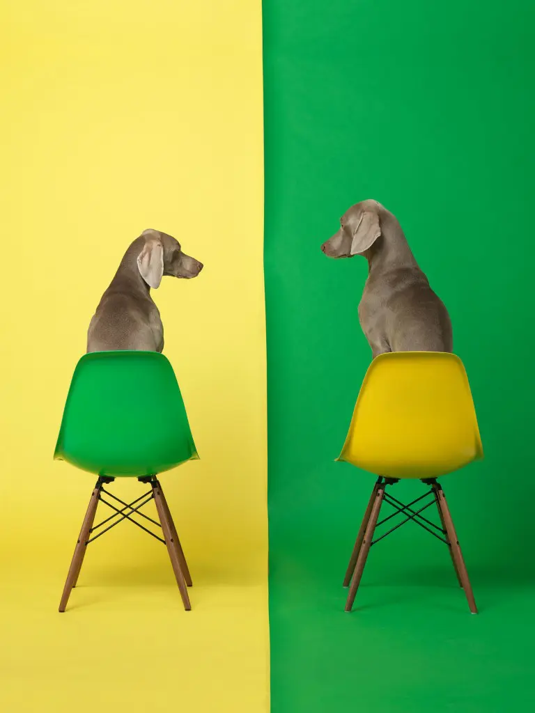 The Pop-feeling "Yellow Two Green," 2015, summarizes the promise of summer — what more can you ask for than a good dog and a nice Eames chair?