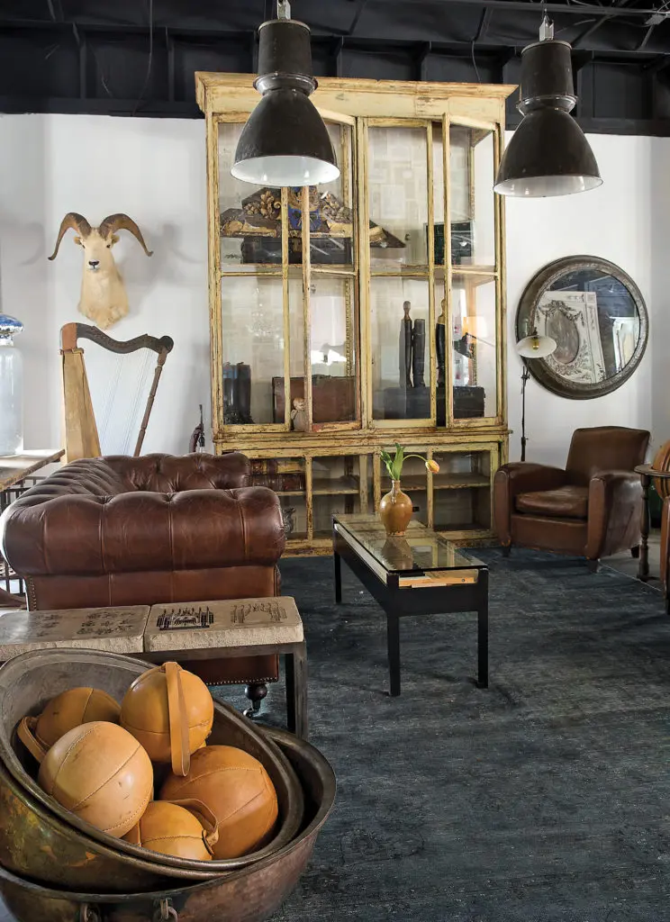 An eclectic vignette
