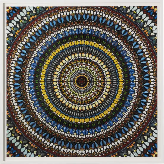Damien Hirst's "Covenant," a small-batch silkscreen, one of an edition of 25 from Other Criteria. The work references the artist's famous paintings bearing embedded butterfly wings. 