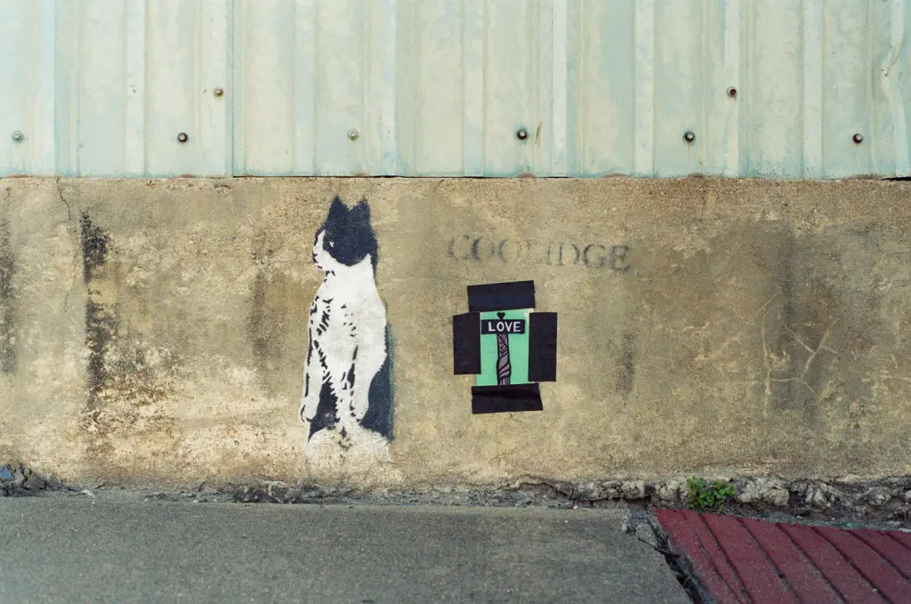 In the shadows of downtown lies one of Coolidge’s signature creature spray paintings. Here, Alex Barber (@visibleinlight) placed a photo he took of a mural by Daniel Aguilu for a passerby to take. Check out more of his photographs at http://www.visibleinlight.com.
