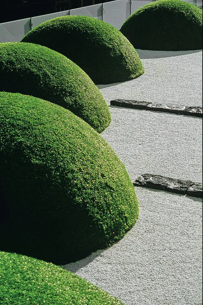 A greenscape by Giubbilei in
Geneva for a corporate client. (Garden images Steven Wooster, © Luciano Giubbilei)