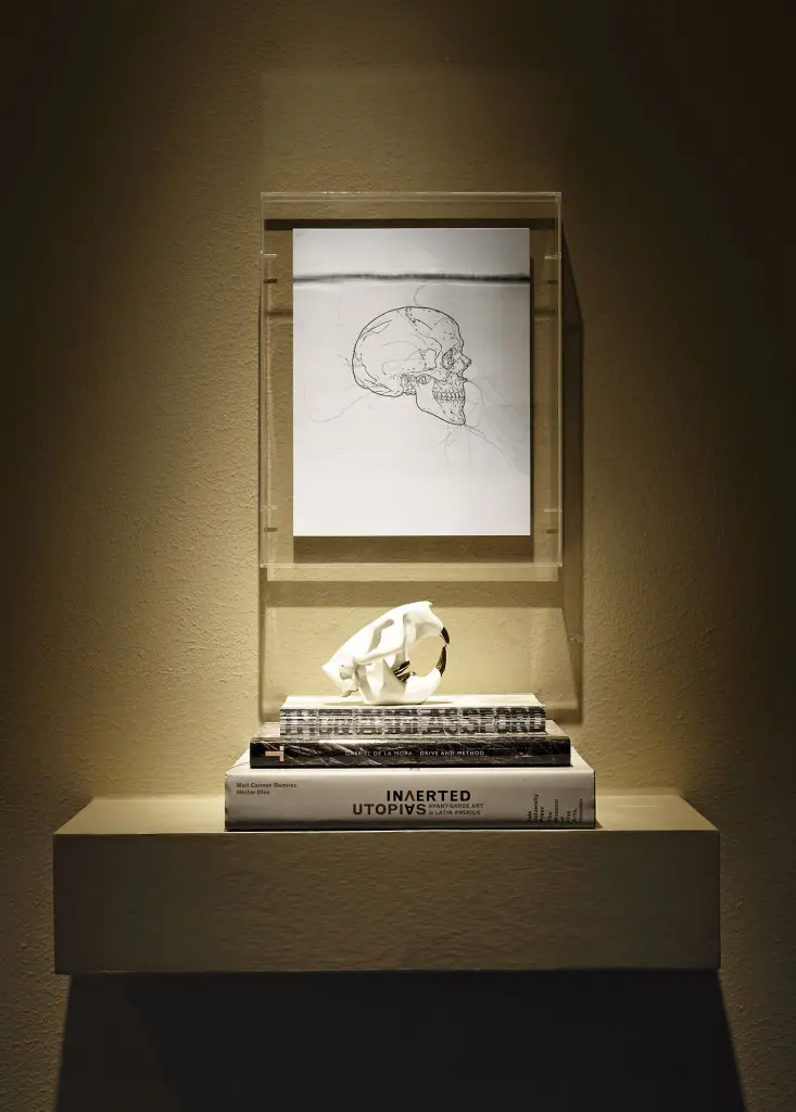 Gabriel de la Mora’s AGC II, 2008, made of human hair on paper.