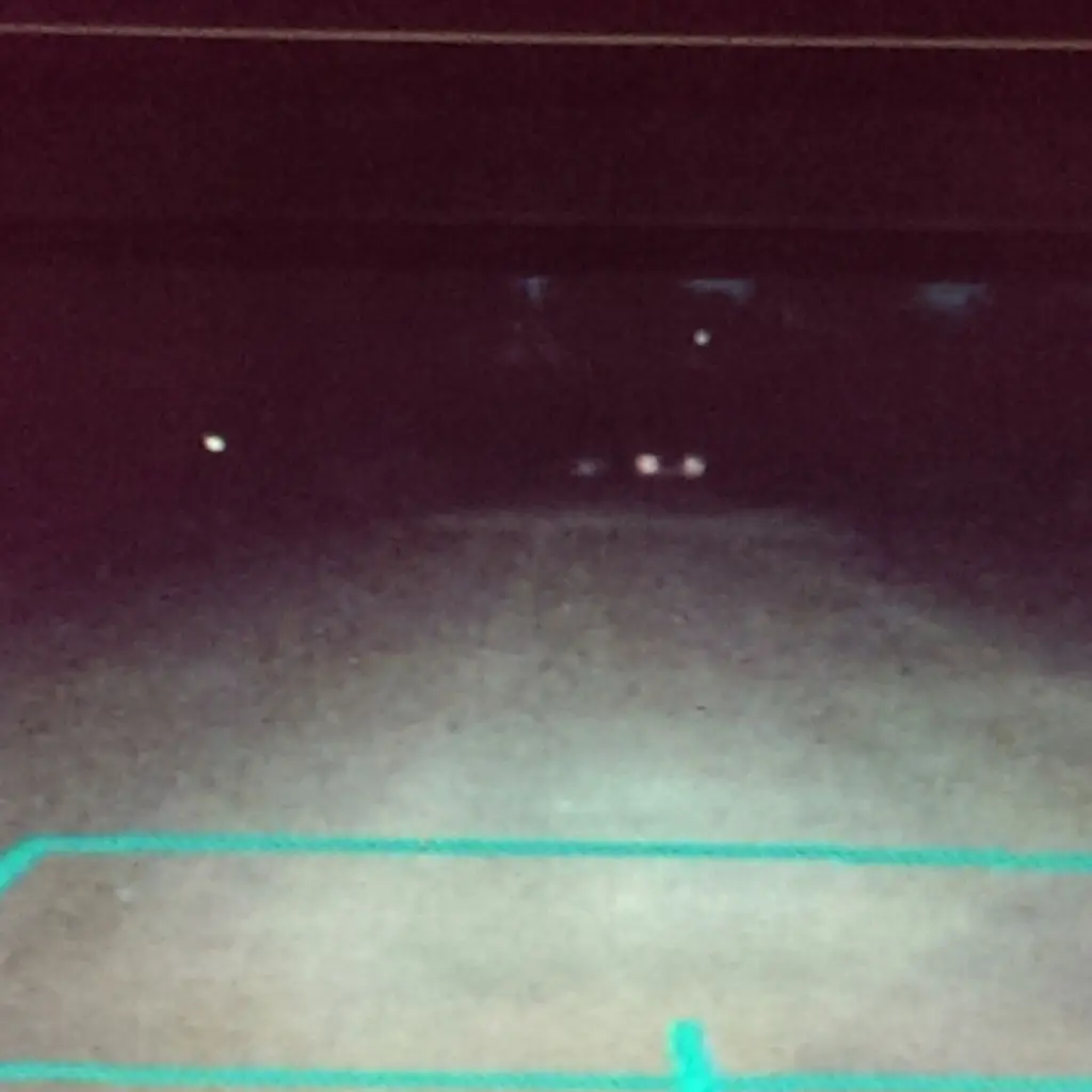 In our car's back-up camera, the light on the left cannot be accounted for. Is it an orb? (Photo by Matthew Ramirez)