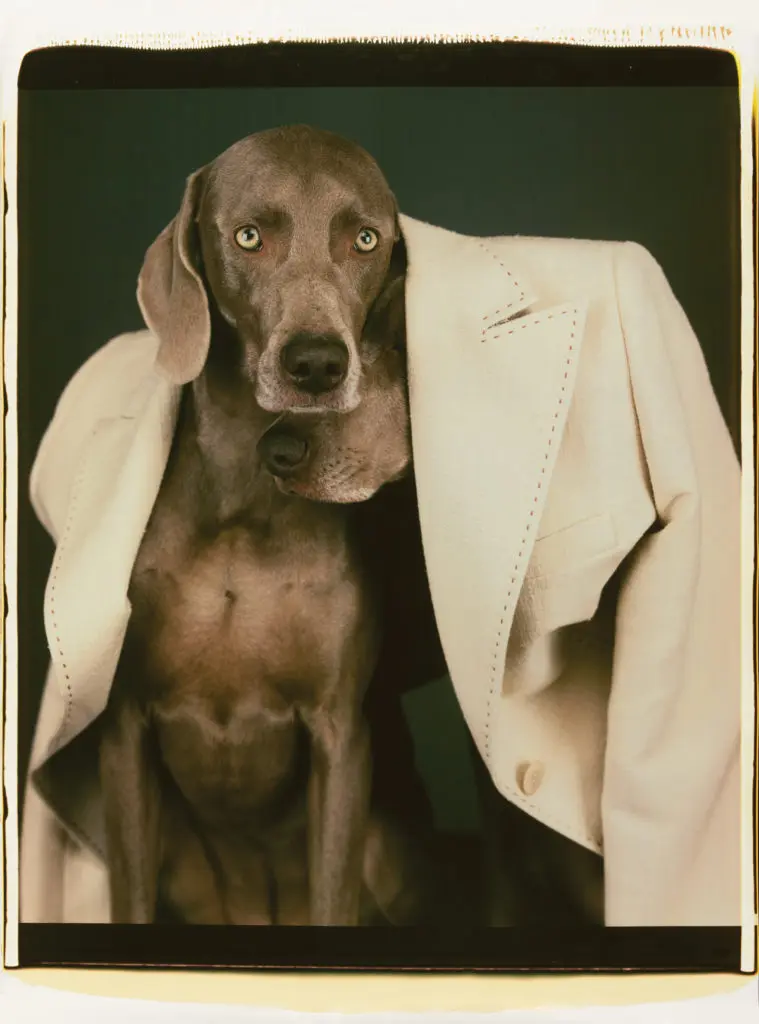 Fashionable Dogs: Iconic Max Mara Exhibit Barks Into Houston With Serious Art Clout