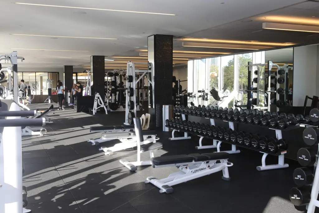 Free weights line Equinox's equipment floor. 
