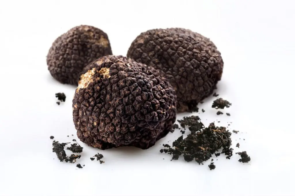 Truffle Fight: Houston’s Top Chefs Battle for Supremacy — and Kilograms of Pricey Delicacies