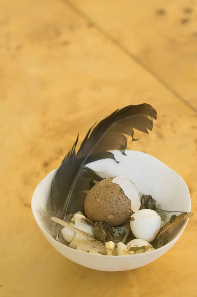 White ceramic bowl by Sharon Englestein brims with found treasures.