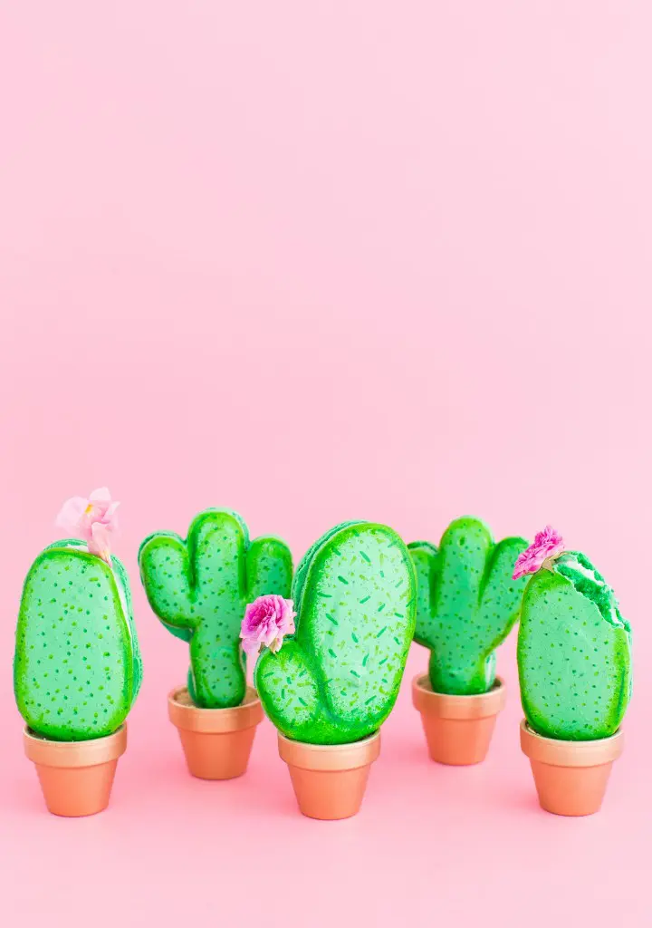 Forgo floral centerpieces for macaron cactus planters. (Photo by Jared Smith) 