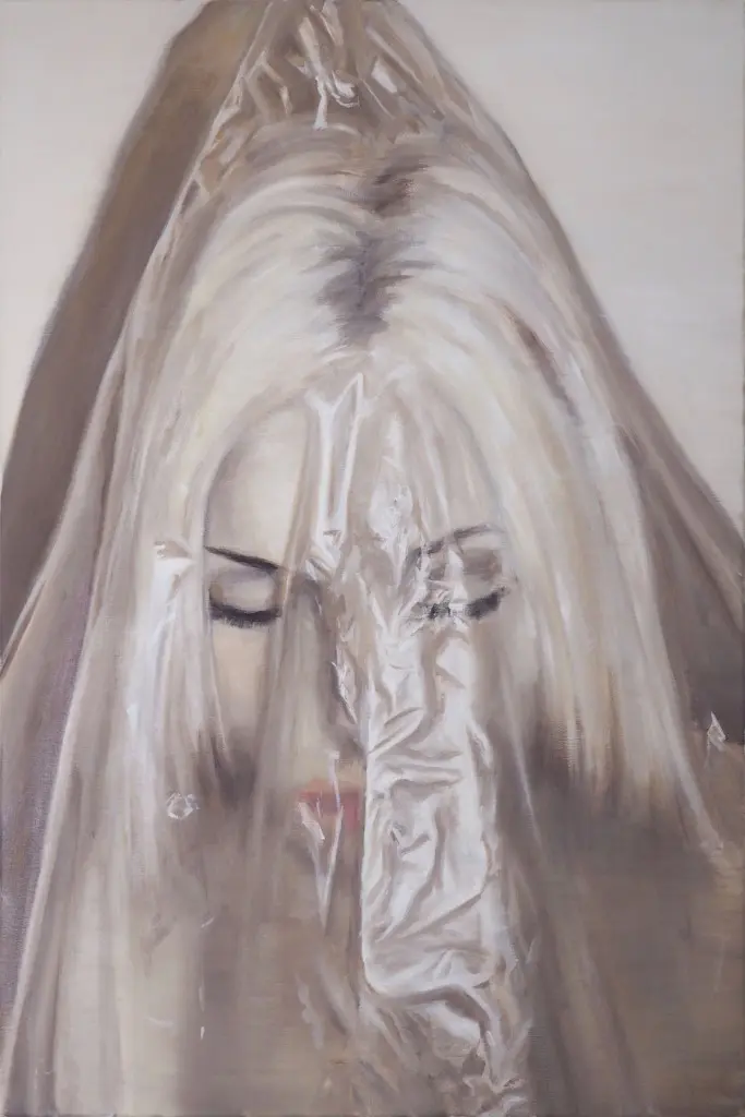 One of the strangest, and most hypnotic images by Travis K. Schwab, is brand new work set for Cindy Lisica Gallery's late April show. The claustrophobic image, "Insulation," 2016, implies everything from a wedding veil to a communion headpiece to a body bag, while its subject evokes Lady Gaga, who surely would have been the ultimate Warhol cover girl were Andy still with us. 