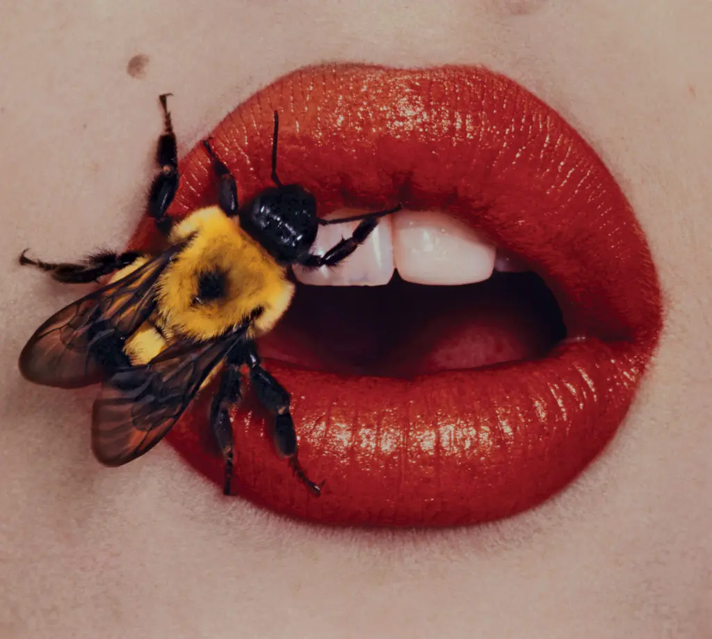 The Man Who Made Ugly Things Beautiful: New Irving Penn Retrospective Shames the iPhone Photo “Masters”