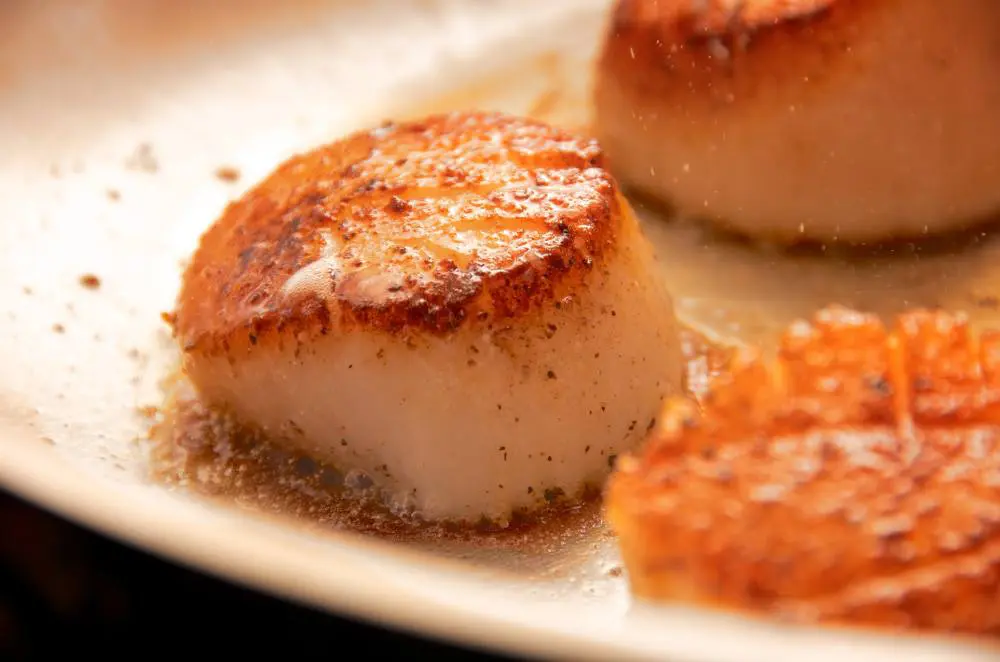Seared scallops courtesy of Charivari. 