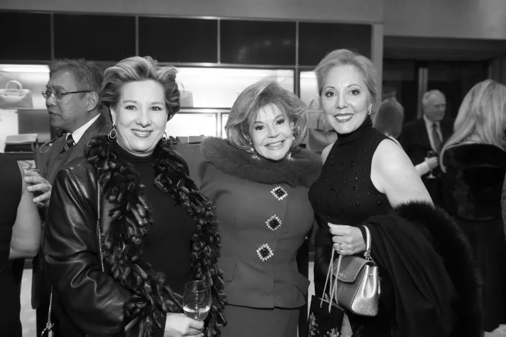 Virtuosi of Houston Gala Preview Party, 02.24.2016