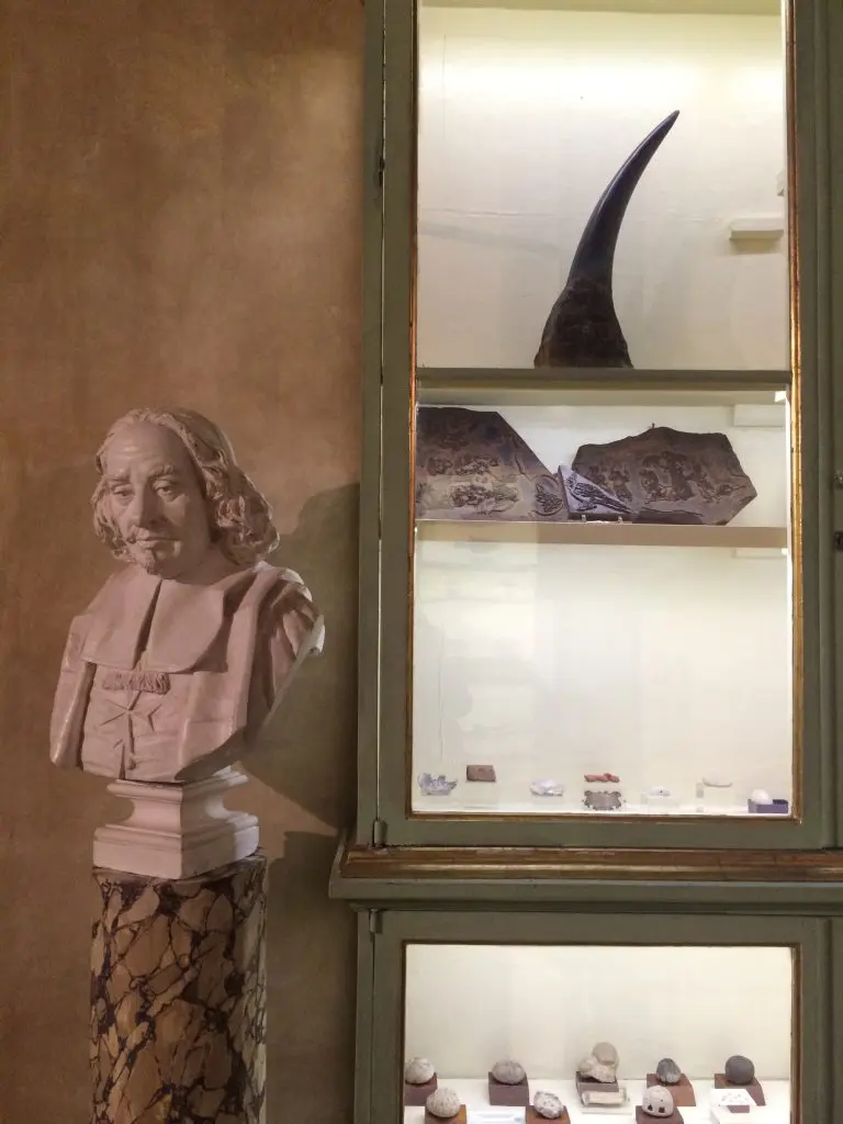 Still life and sculpture at Museo de Palazzo Poggi.
