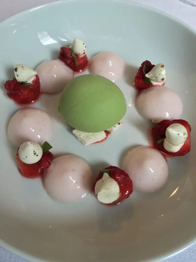 Strawberries, Thai basil, rhubarb